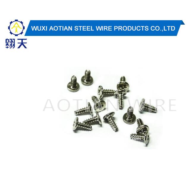Precision Screws